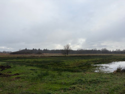 Nieuwkuijk - Poeldonk · Hertogenpad etappe 4