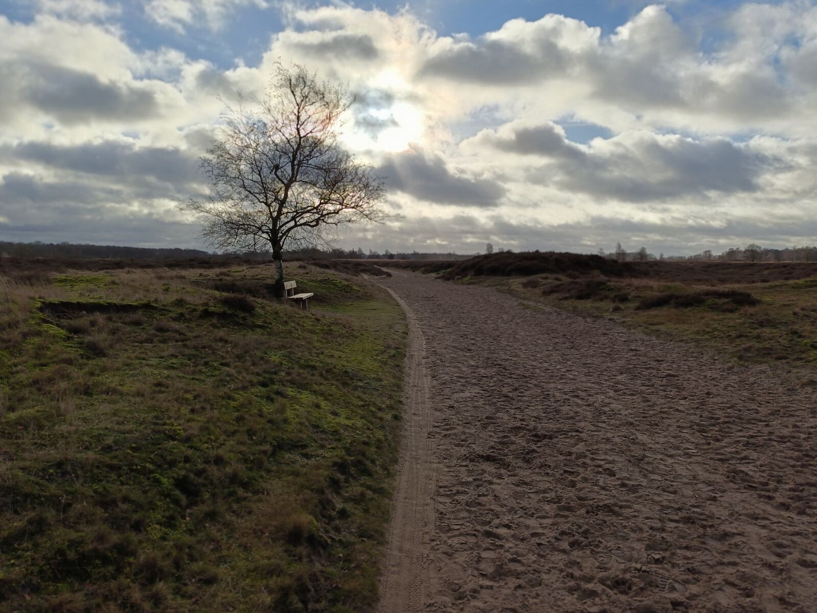 Oudejaarswandeling op Balloerveld