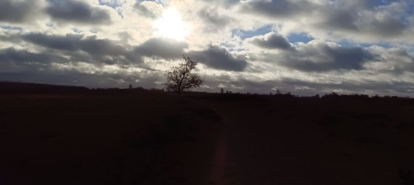 Oudejaarswandeling op Balloerveld