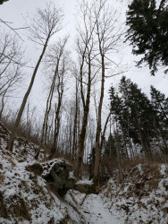 Glasebacher route
