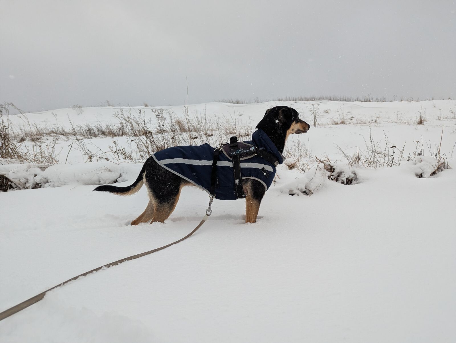 Rondje ploegen door de winterse landerijen