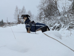 Rondje ploegen door de winterse landerijen