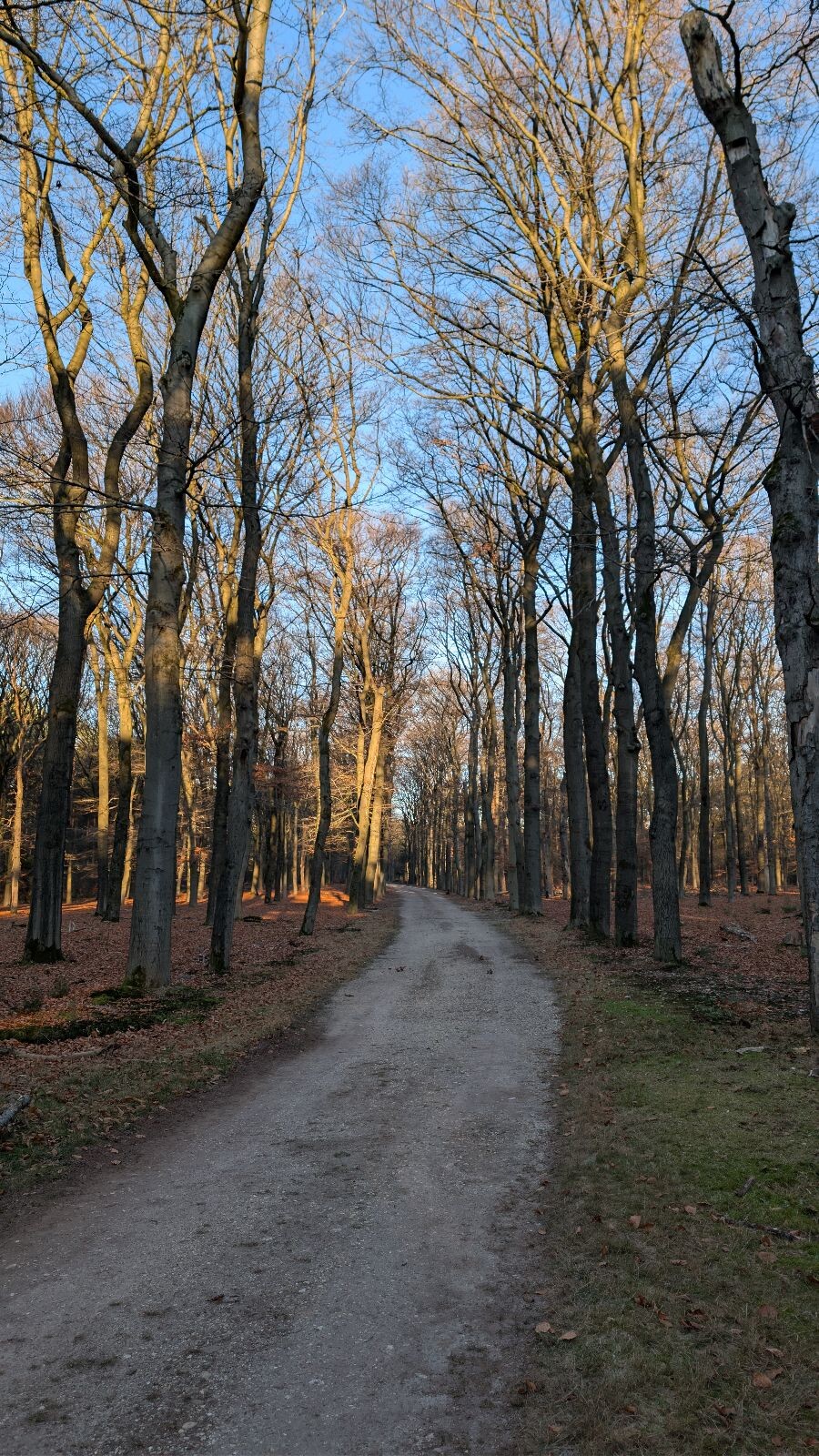 Den Treek vanaf Austerlitz