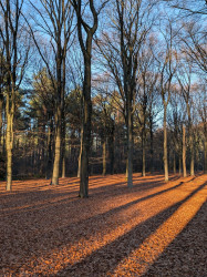 Den Treek vanaf Austerlitz