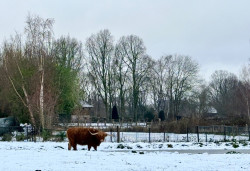 Vught - Den Bosch · Ons Kloosterpad etappe 15