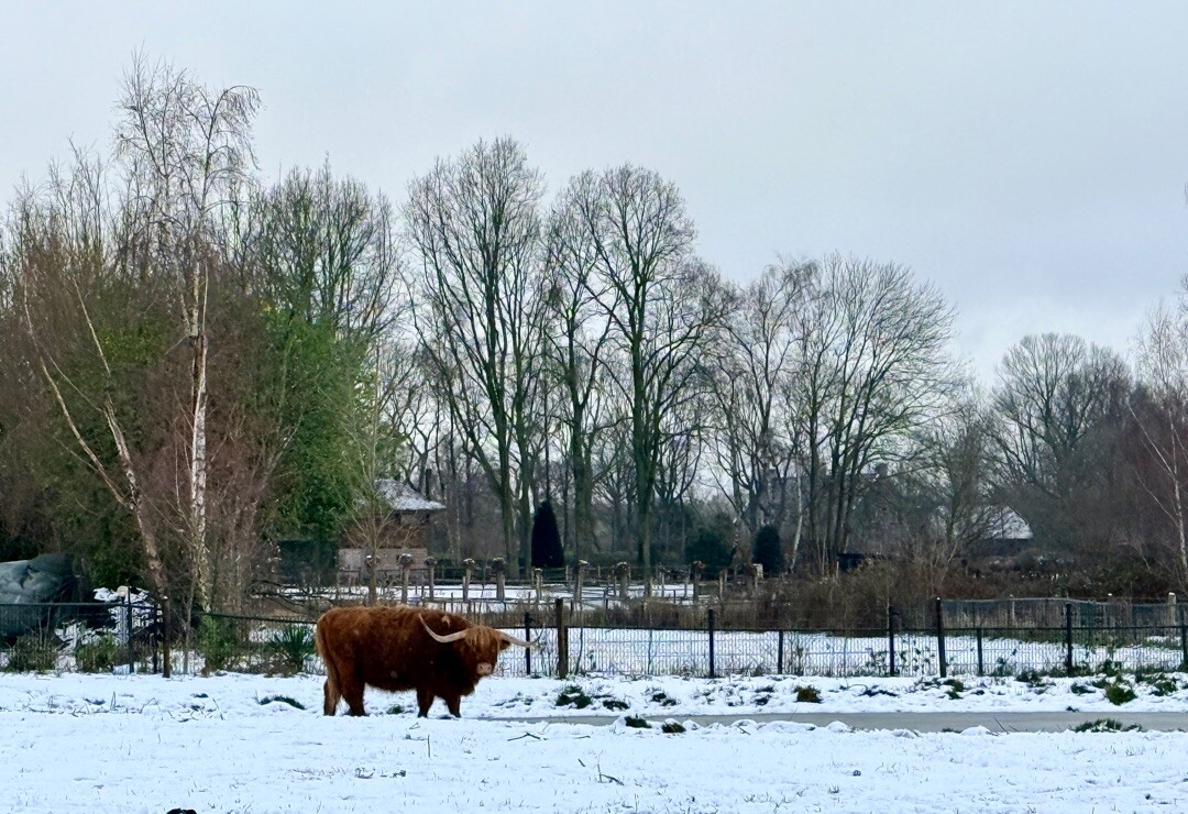 Vught - Den Bosch · Ons Kloosterpad etappe 15