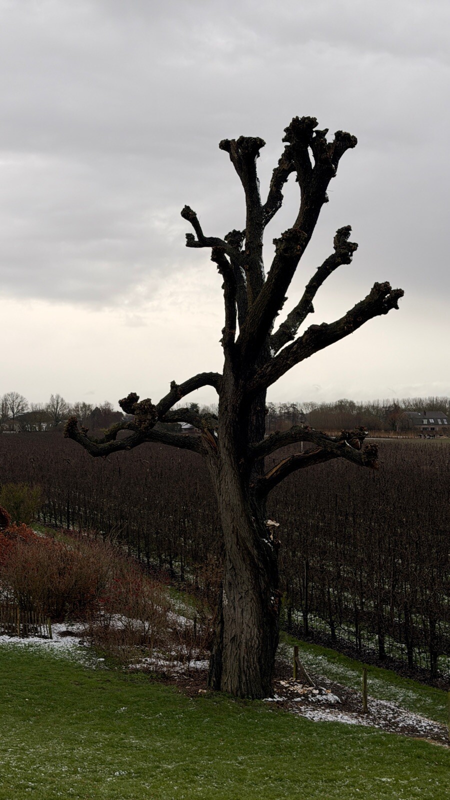 Etappe 5 van het Maarten van Rossum pad