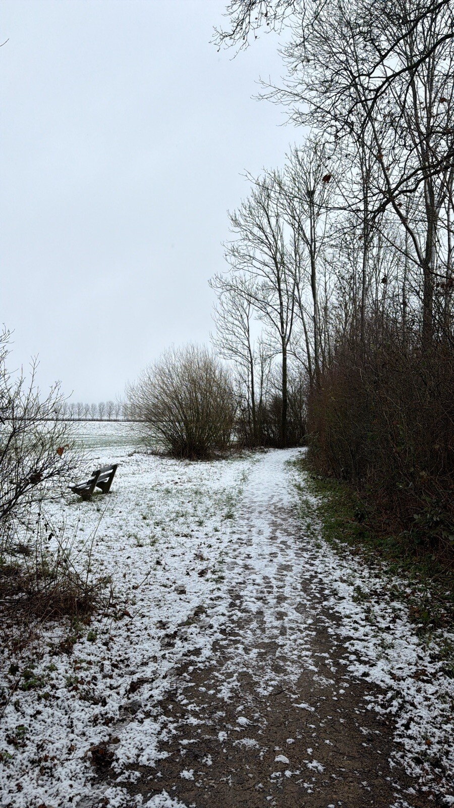 Etappe 5 van het Maarten van Rossum pad