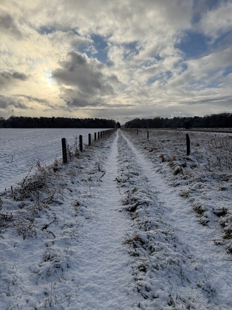 Vierlingsbeek - Swolgen · Pieterpad etappe 20