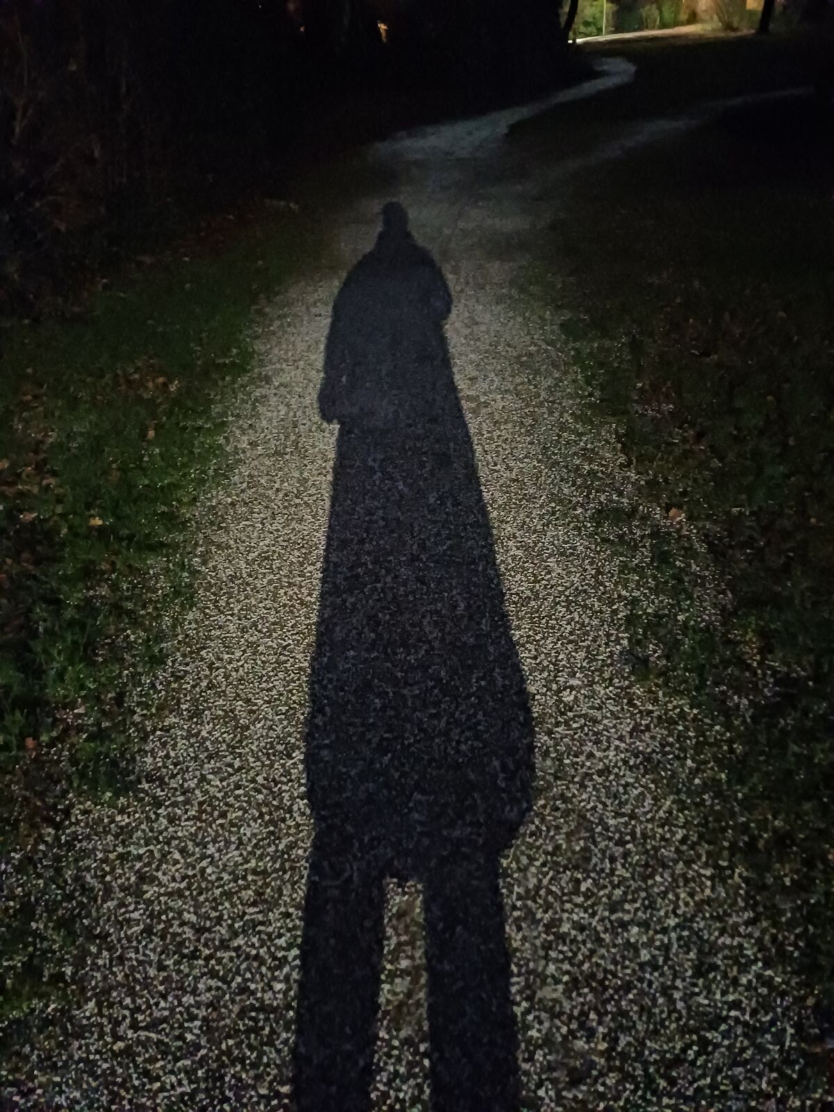 Heerlijk gladde wandeling!