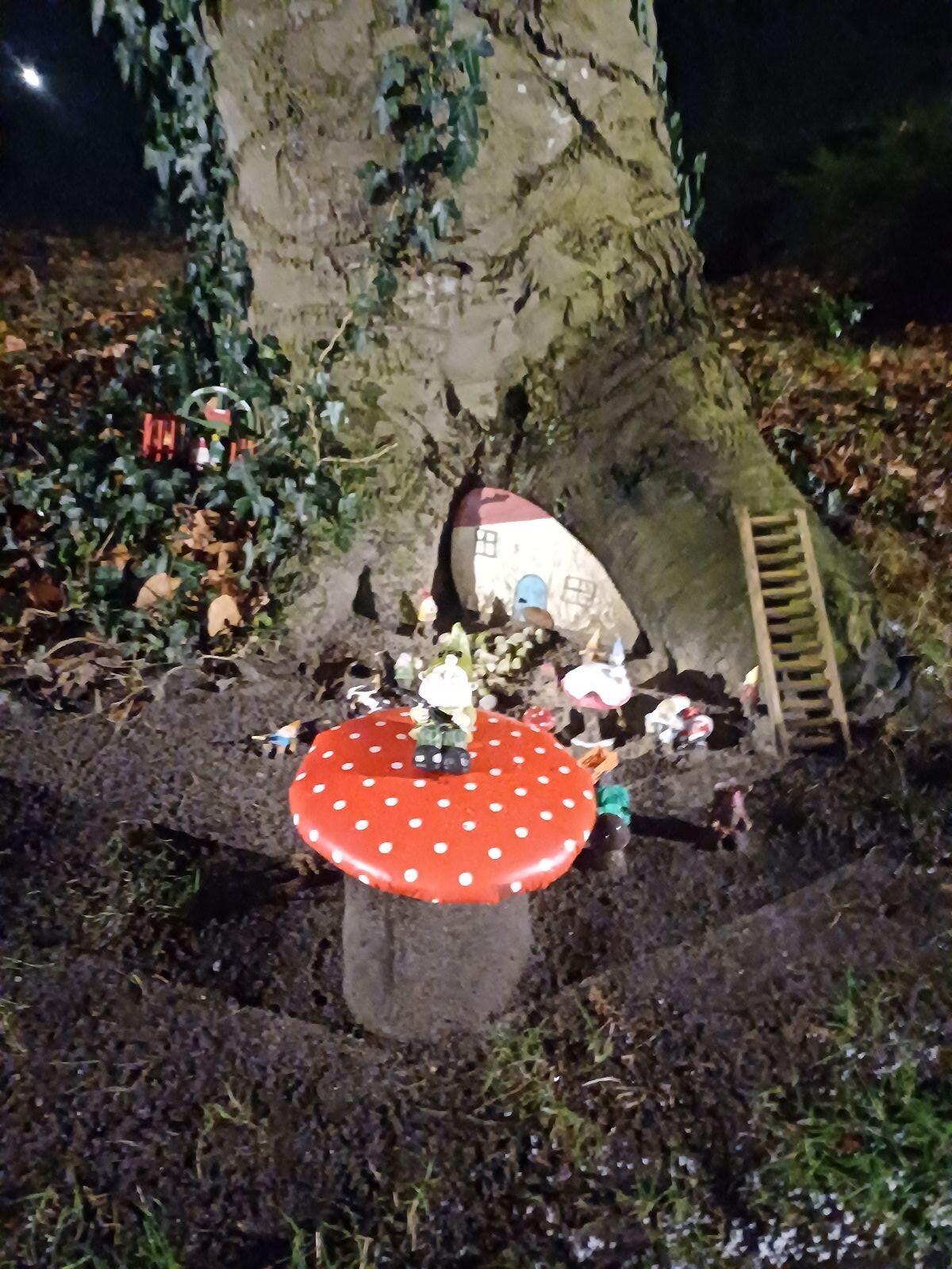 Heerlijk gladde wandeling!