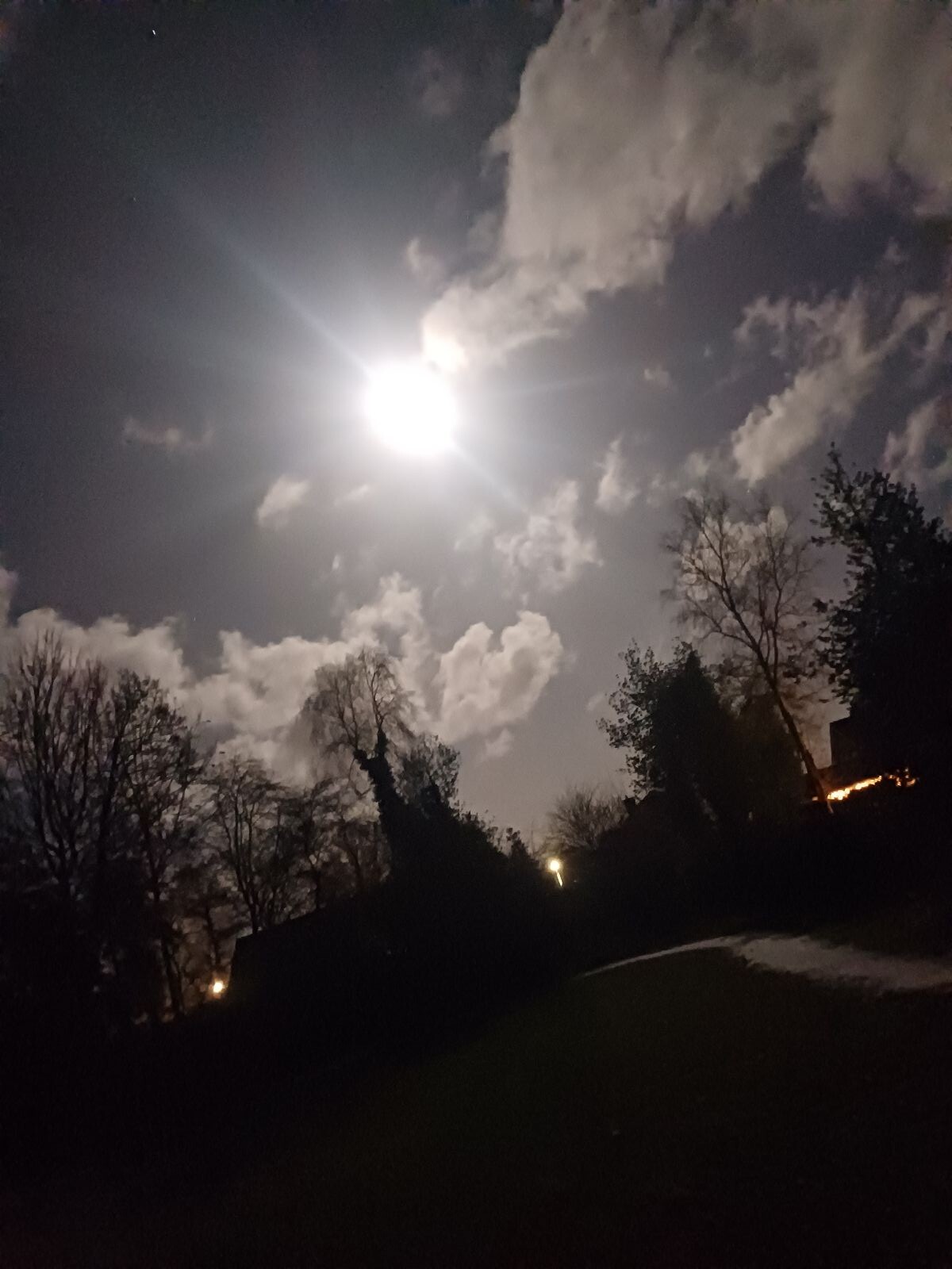 Heerlijk gladde wandeling!