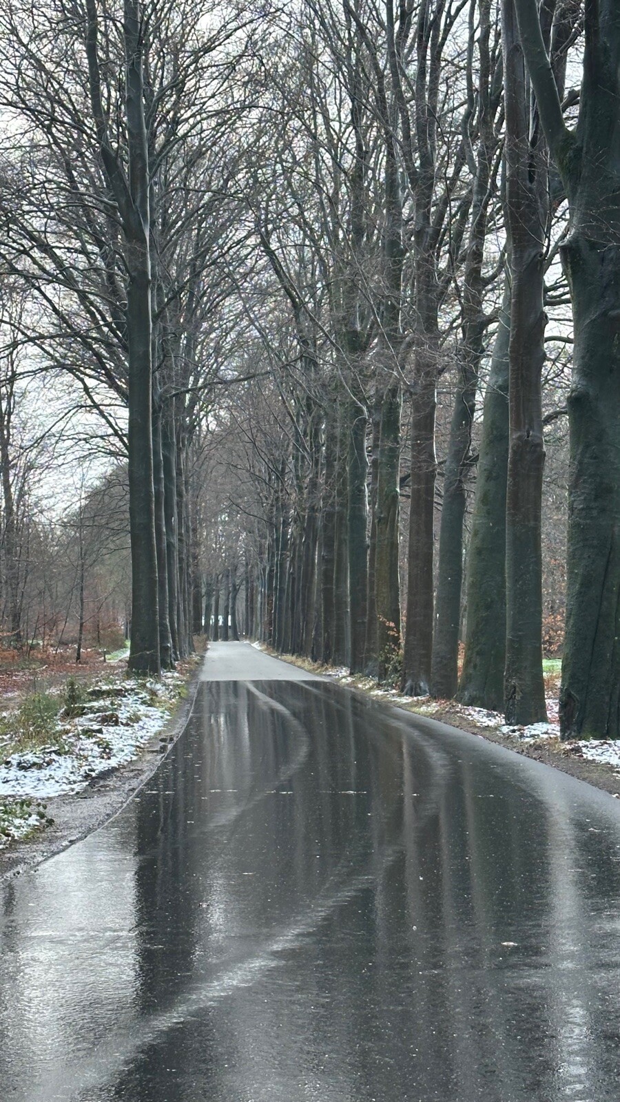 Veluwe zwerfpad etappe 20