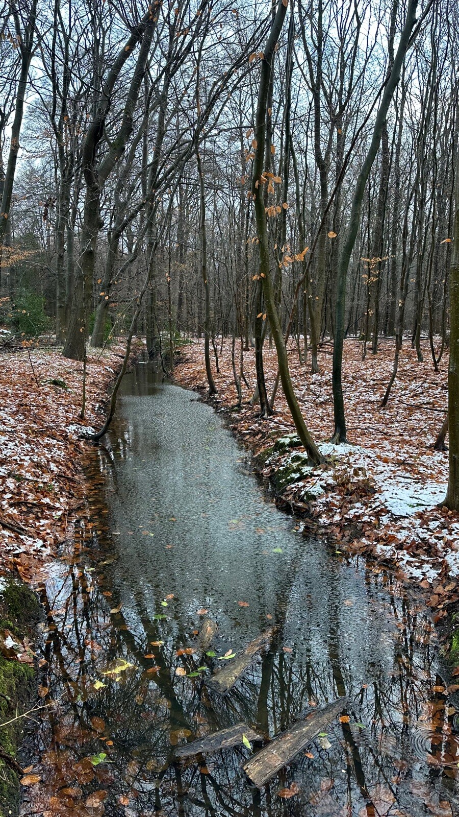 Veluwe zwerfpad etappe 20