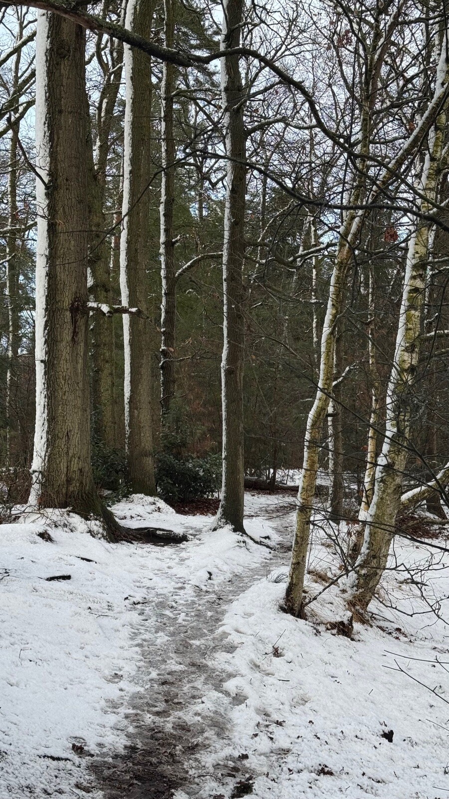 Venrode en Hooibrug Boxtel