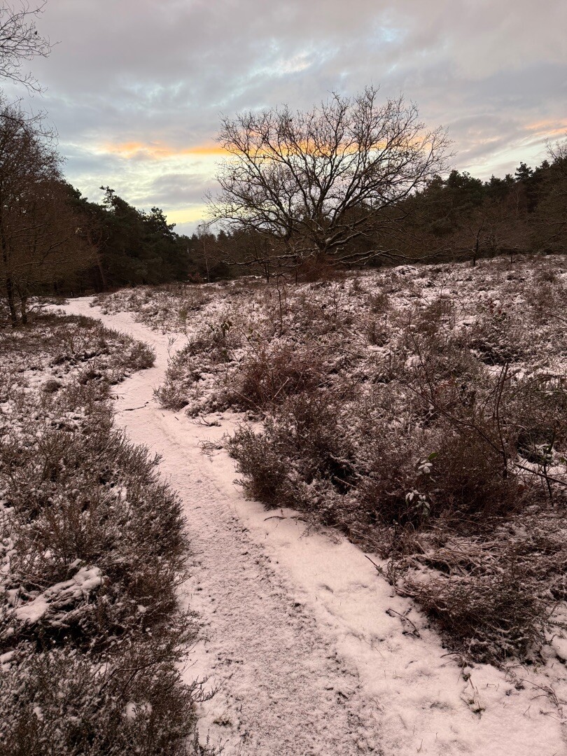 Swolgen - Venlo · Pieterpad etappe 21