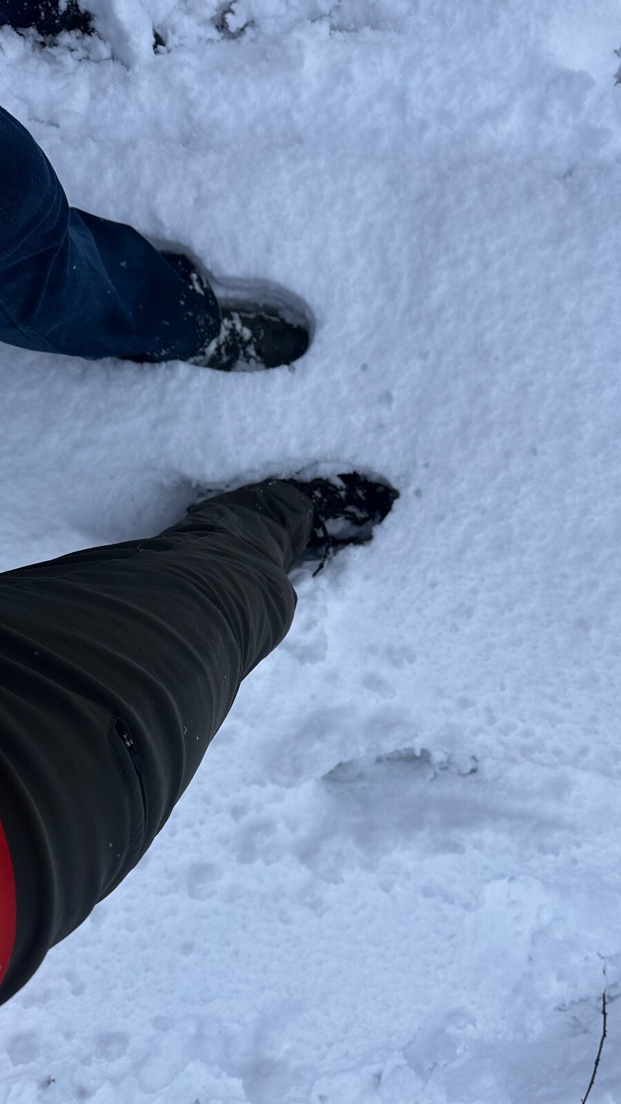 Ugcheler Markepad (klompenpad)