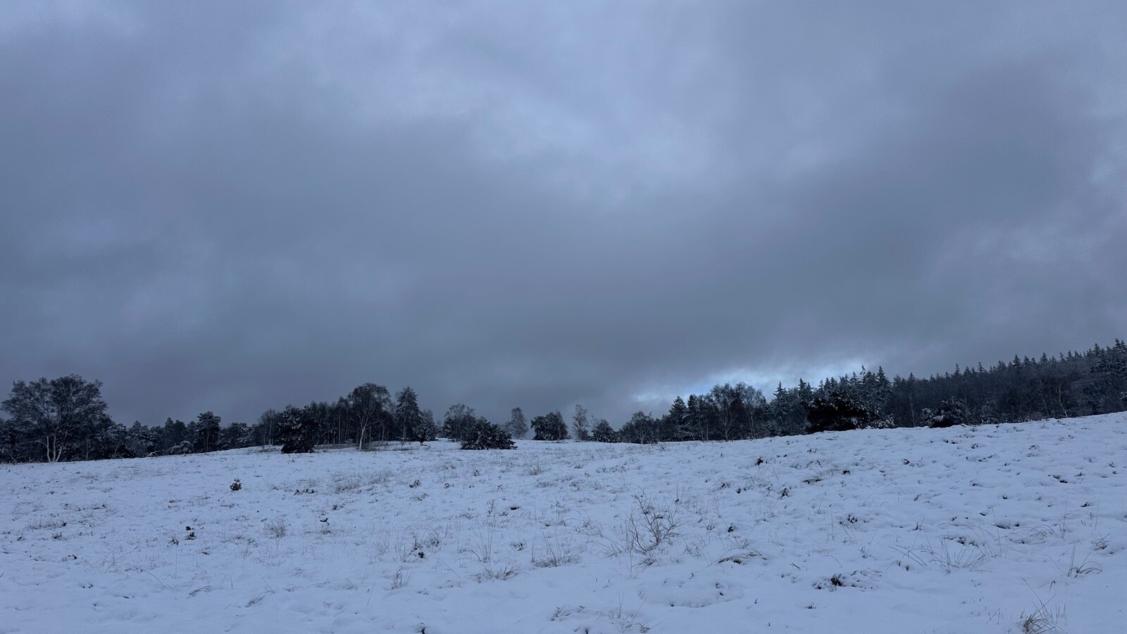 Ugcheler Markepad (klompenpad)