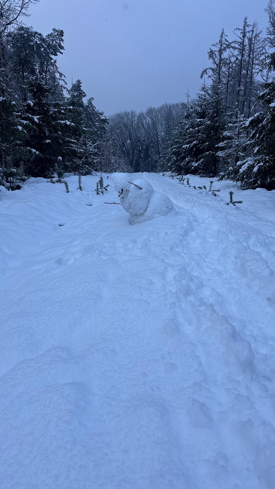 Ugcheler Markepad (klompenpad)