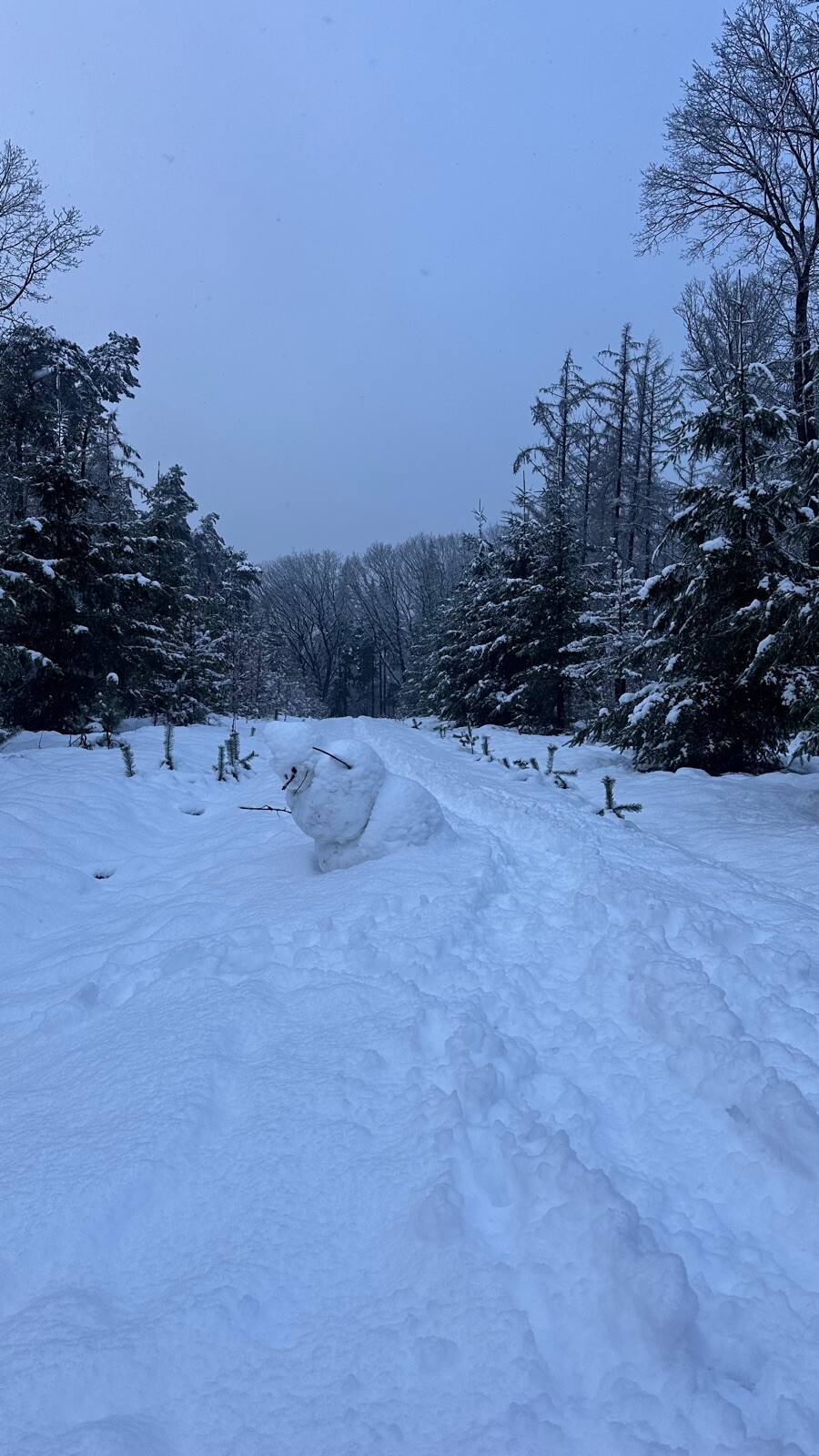Ugcheler Markepad (klompenpad)