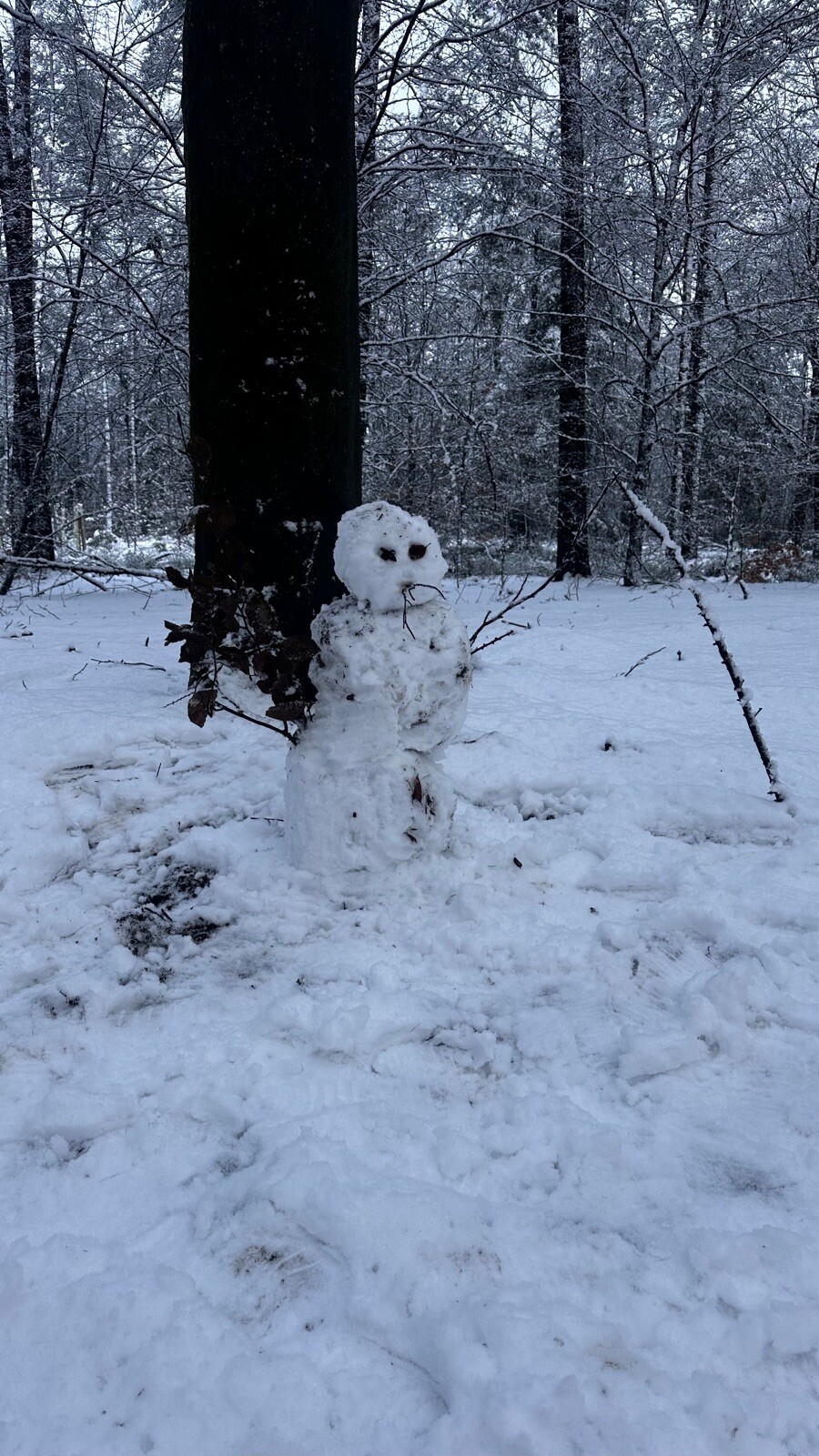 Ugcheler Markepad (klompenpad)