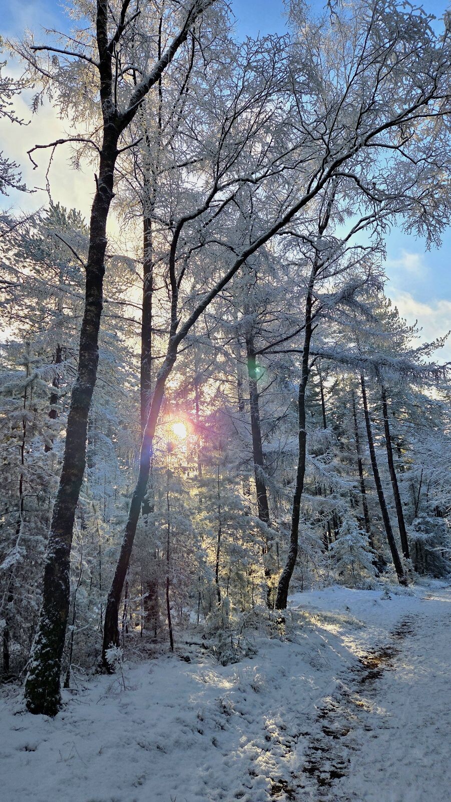 Wandelroute Holterbergwandeling