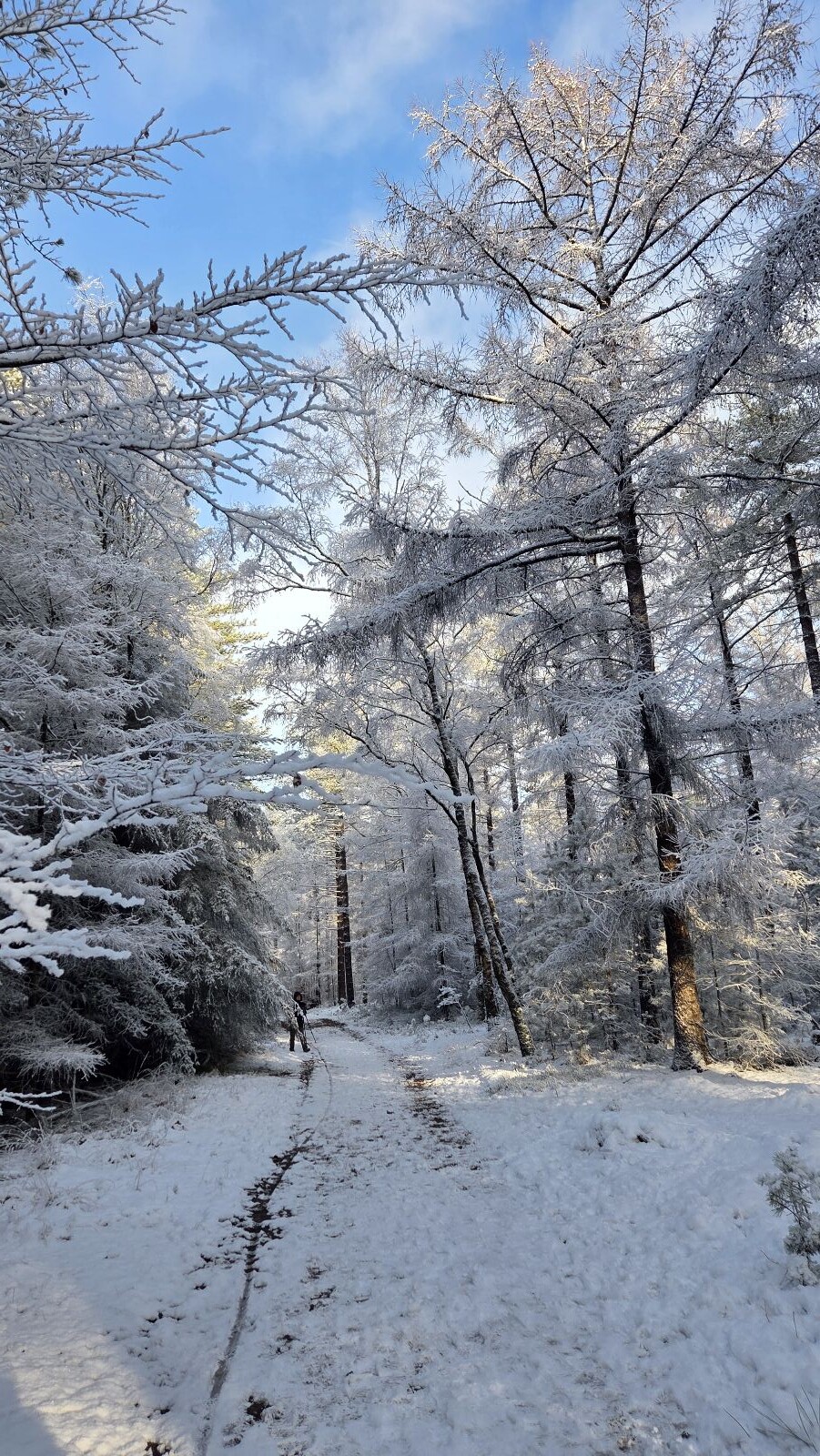 Wandelroute Holterbergwandeling