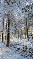 Wandelroute Holterbergwandeling