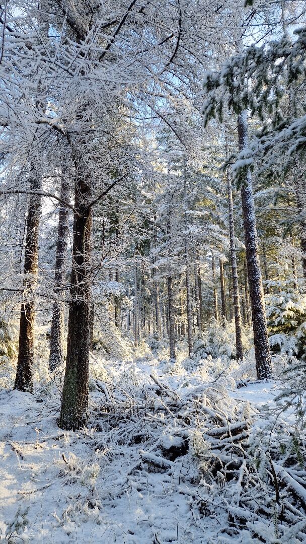 Wandelroute Holterbergwandeling