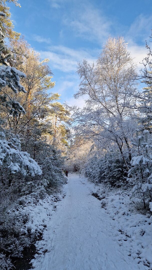 Wandelroute Holterbergwandeling