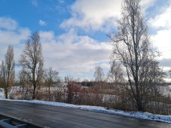Winterwandeling, Borgerswold Veendam