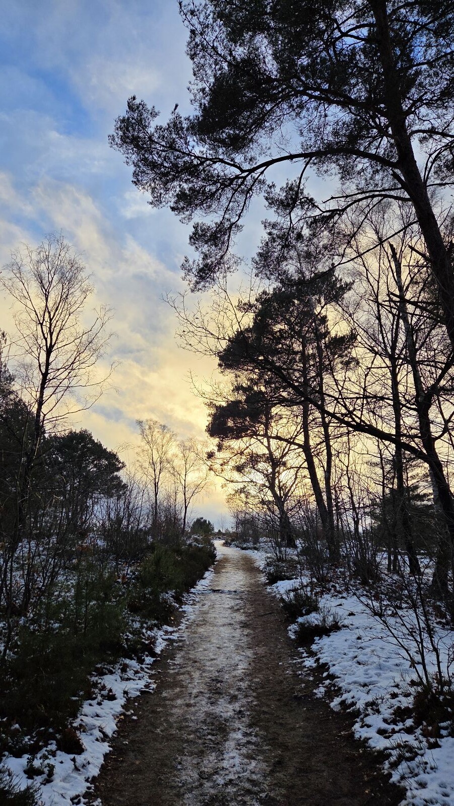 Wandelroute Noetselerbergwandeling