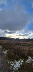 Boswachterspad Noordzeewandeling 