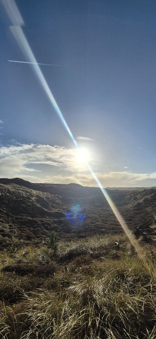 Boswachterspad Noordzeewandeling 