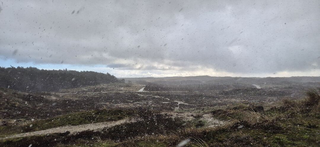 Boswachterspad Noordzeewandeling 