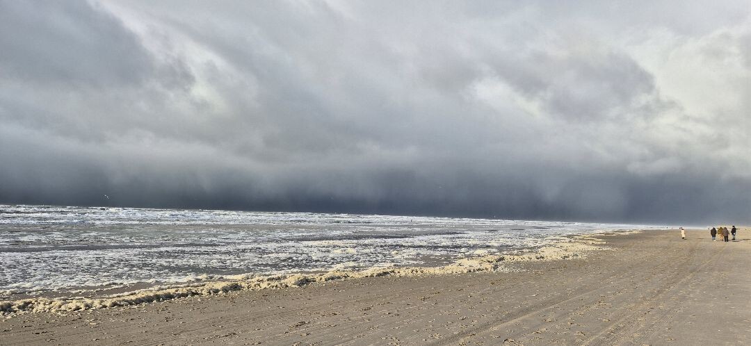 Boswachterspad Noordzeewandeling 