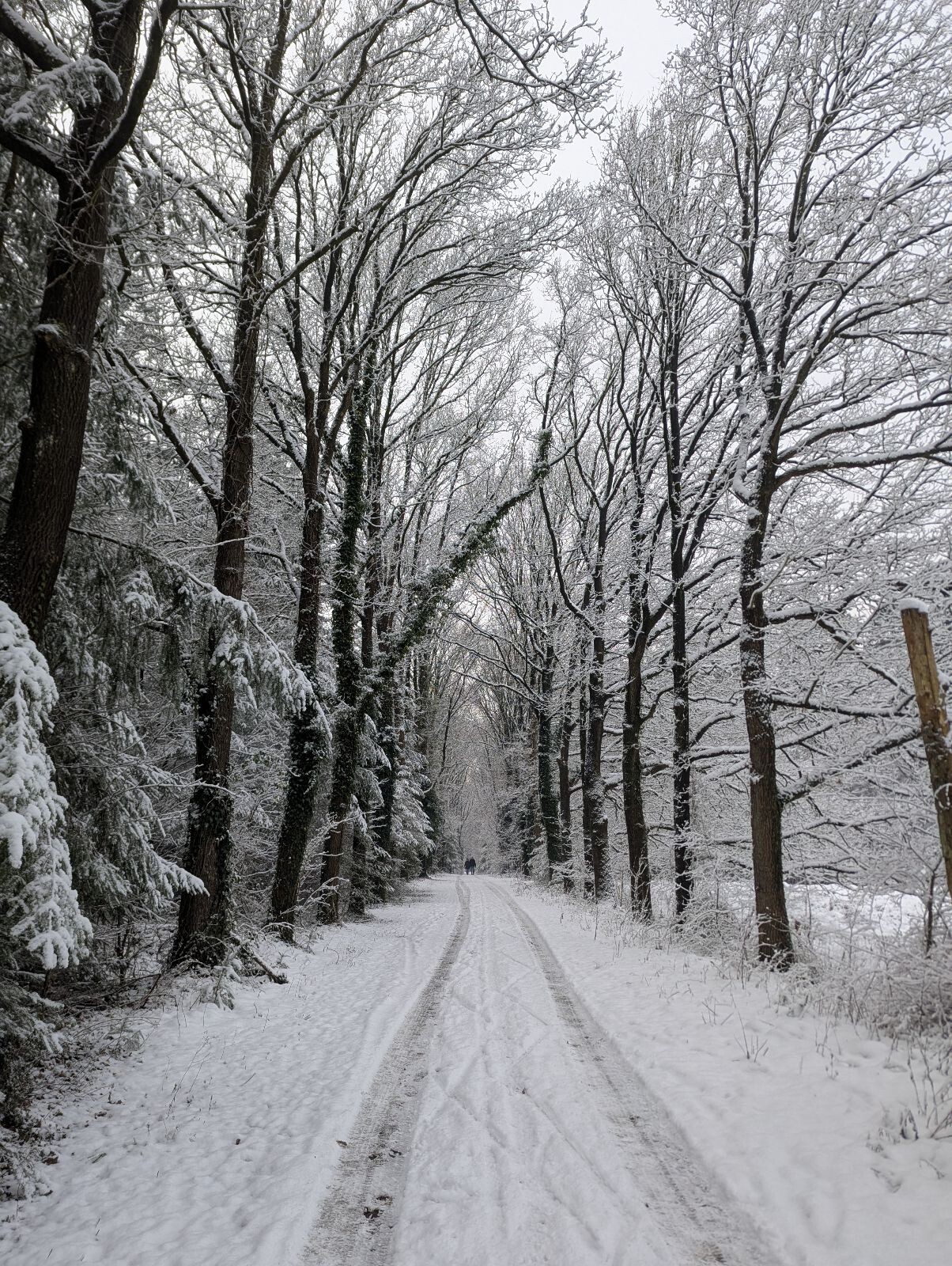 Sneeuwwandeling P&R Gieten naar P&R Annen