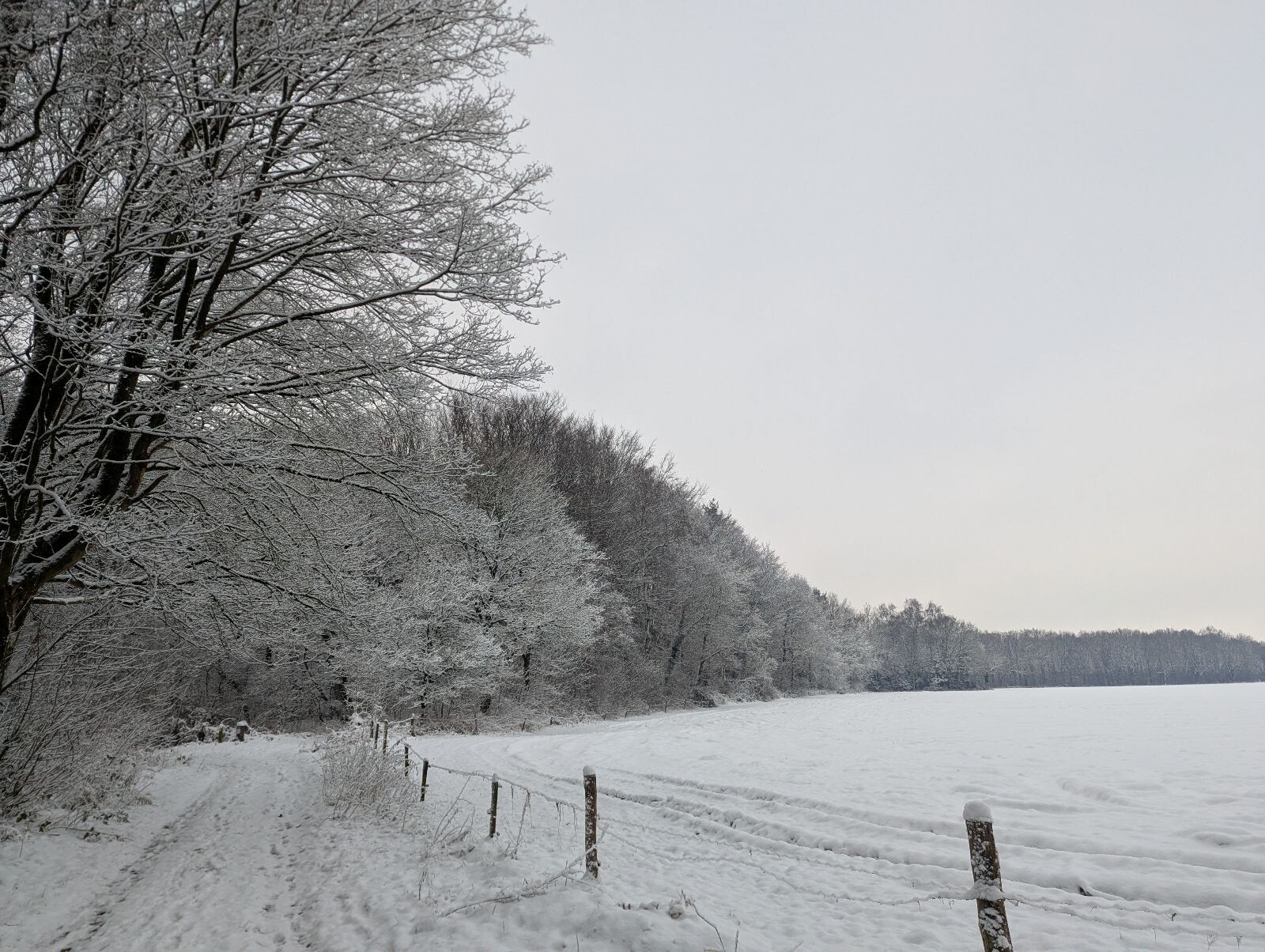 Sneeuwwandeling P&R Gieten naar P&R Annen