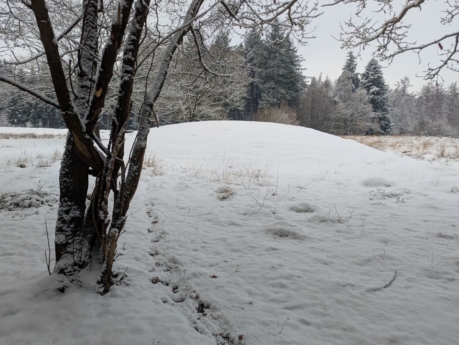 Sneeuwwandeling P&R Gieten naar P&R Annen