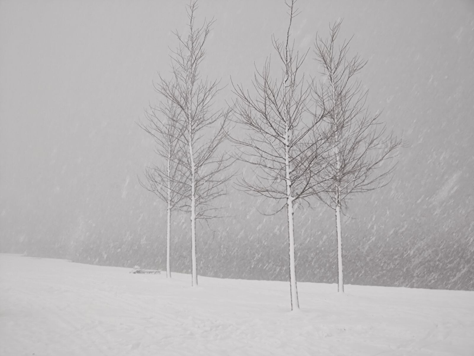 Zwolle - Wijhe · Jacobsweg Nieumeghen etappe 1