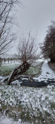 Ambts & Rijkspad Winssen