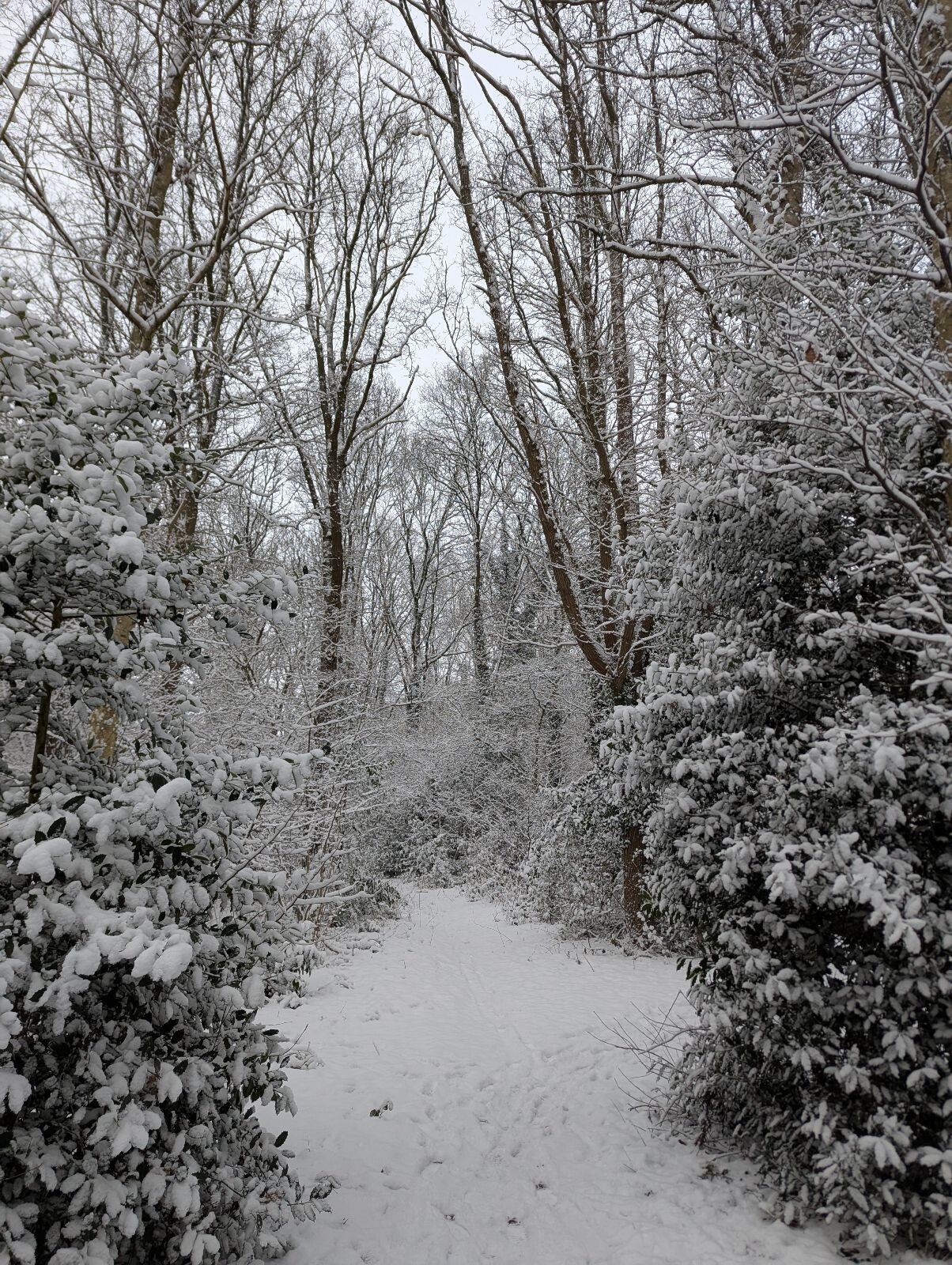Sneeuwwandeling P&R Gieten naar P&R Annen