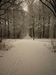 Kleine Balijroute