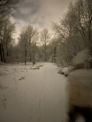 Kleine Balijroute