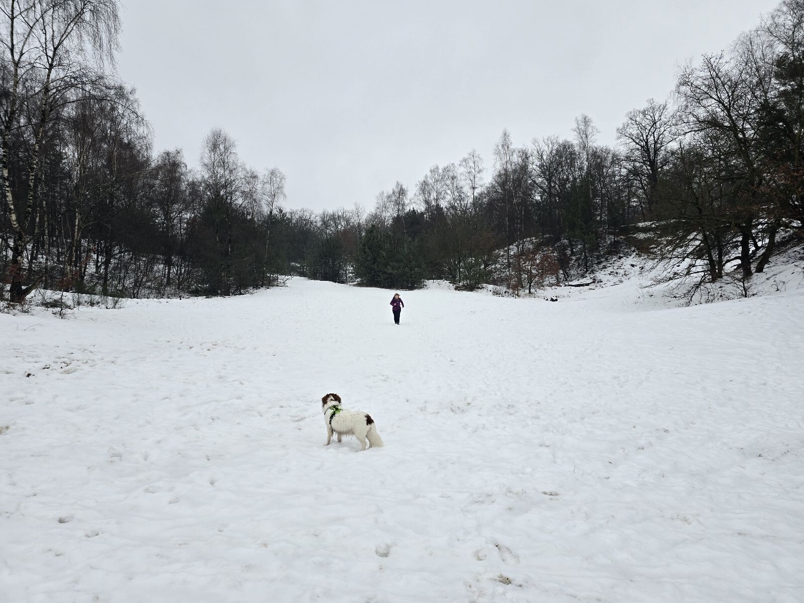 Het Streu (Geocachemulti)