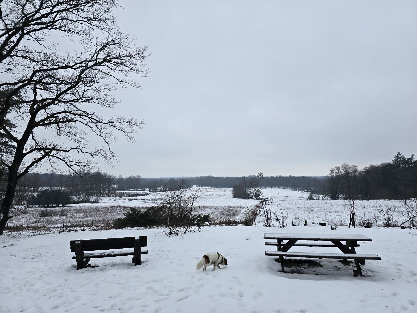 Het Streu (Geocachemulti)