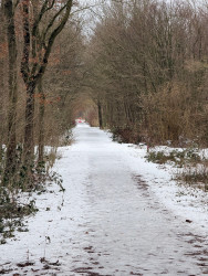 Delft - Zoetermeer · Groene Hartpad etappe 7