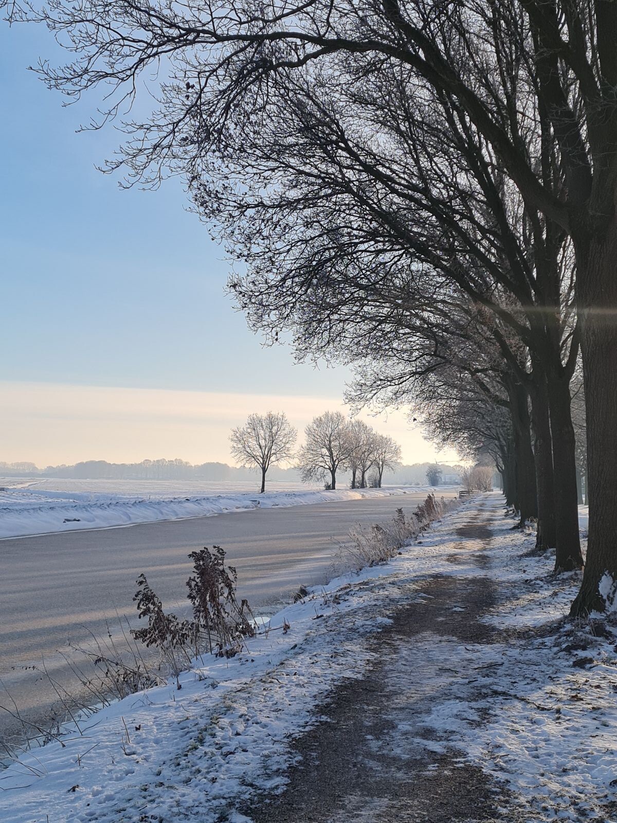 Winter ochtendwandeling met hond