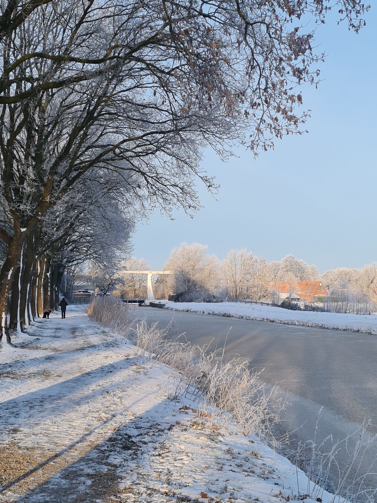Winter ochtendwandeling met hond