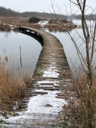 Vriendenpad